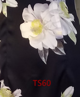 ts60