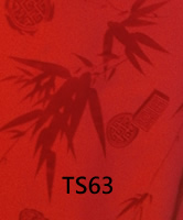 ts63