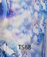 ts68
