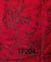 tt204