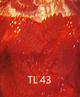 tl43
