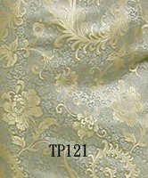 TP121