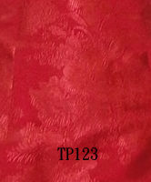 TP123