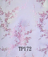 TP172
