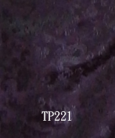 TP221