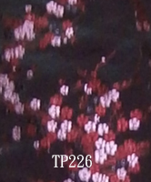 TP226