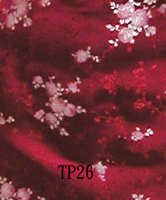 TP26
