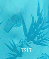 TS17