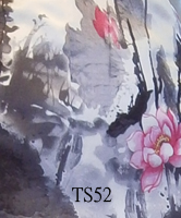ts52