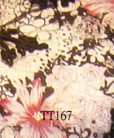 tt167