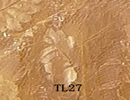 TL27