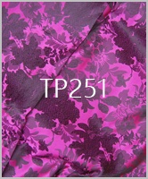 TP251