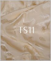 TS11