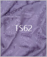 TS62