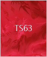 TS63