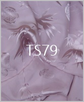 TS79
