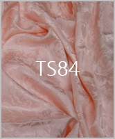 TS84
