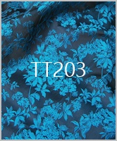 TT203