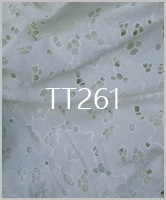 TT261