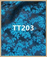 tt203