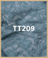 tt209