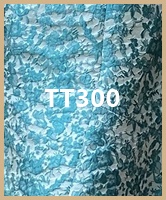 tt300