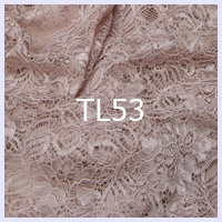 TL53