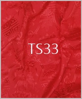 TS33
