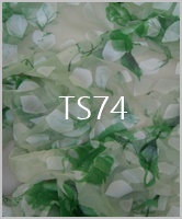 Ts74