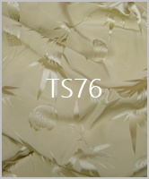 TS76