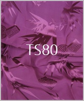 TS80