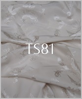 TS81