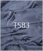 TS83