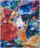 Ts90