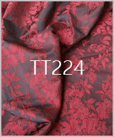 TT224