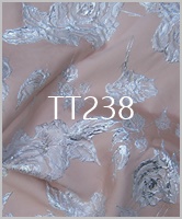 TT238
