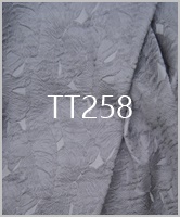 TT258