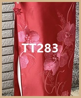 tt283